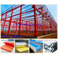 Steel Building in Poultry House with Automatic Machinery